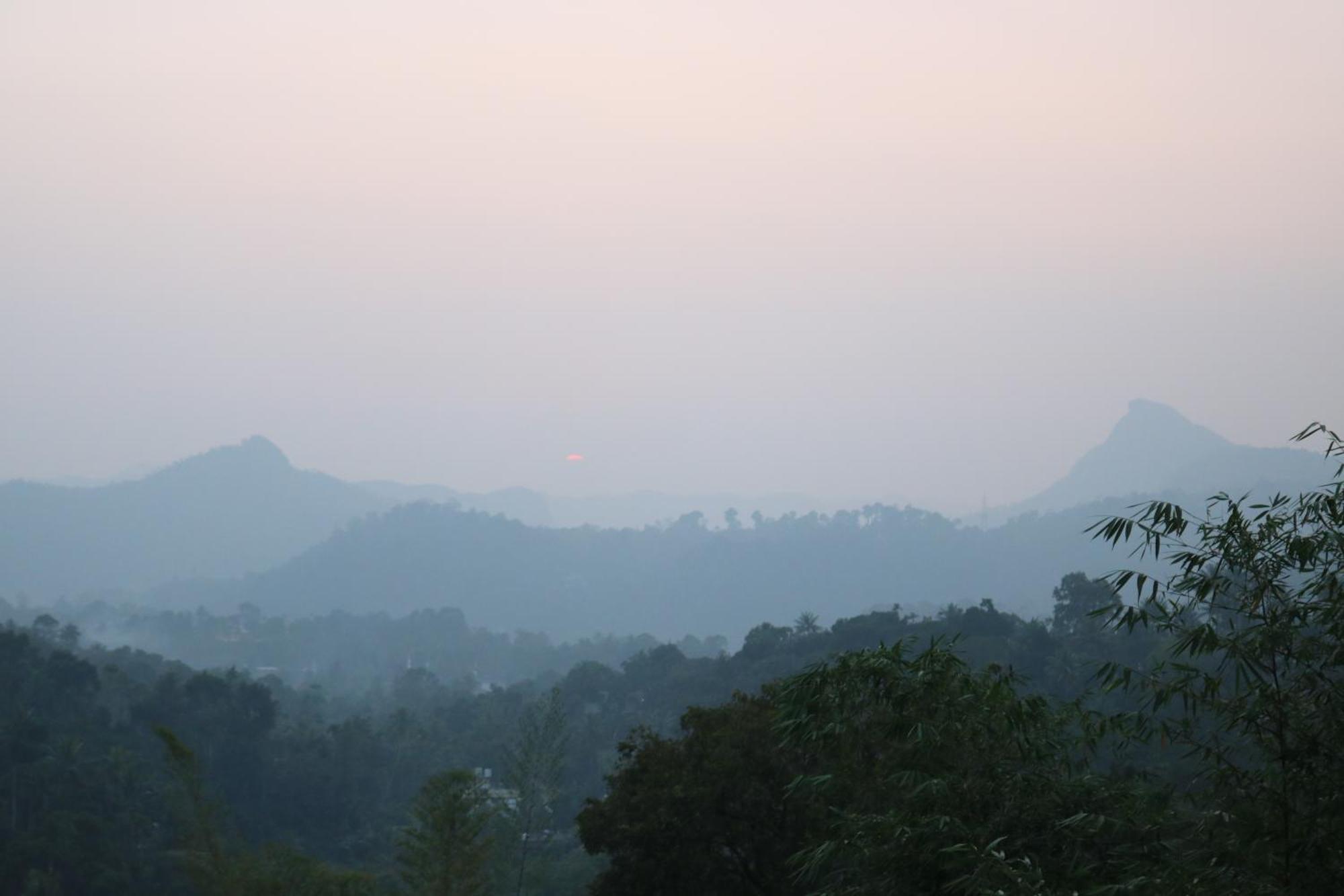 Asprin Homestay Munnar Exterior foto