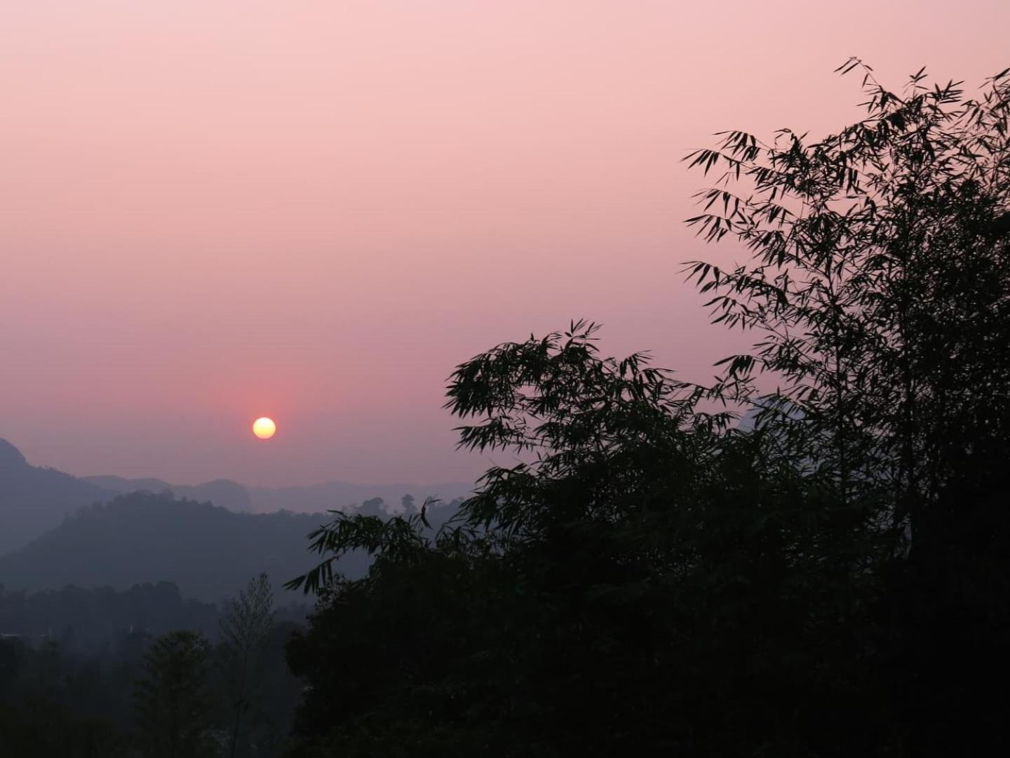 Asprin Homestay Munnar Exterior foto